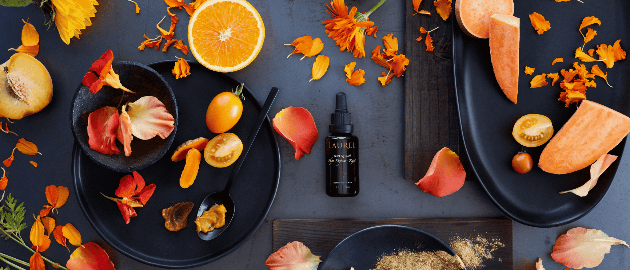 CAROTENOIDS: THE POWER OF THE SUN