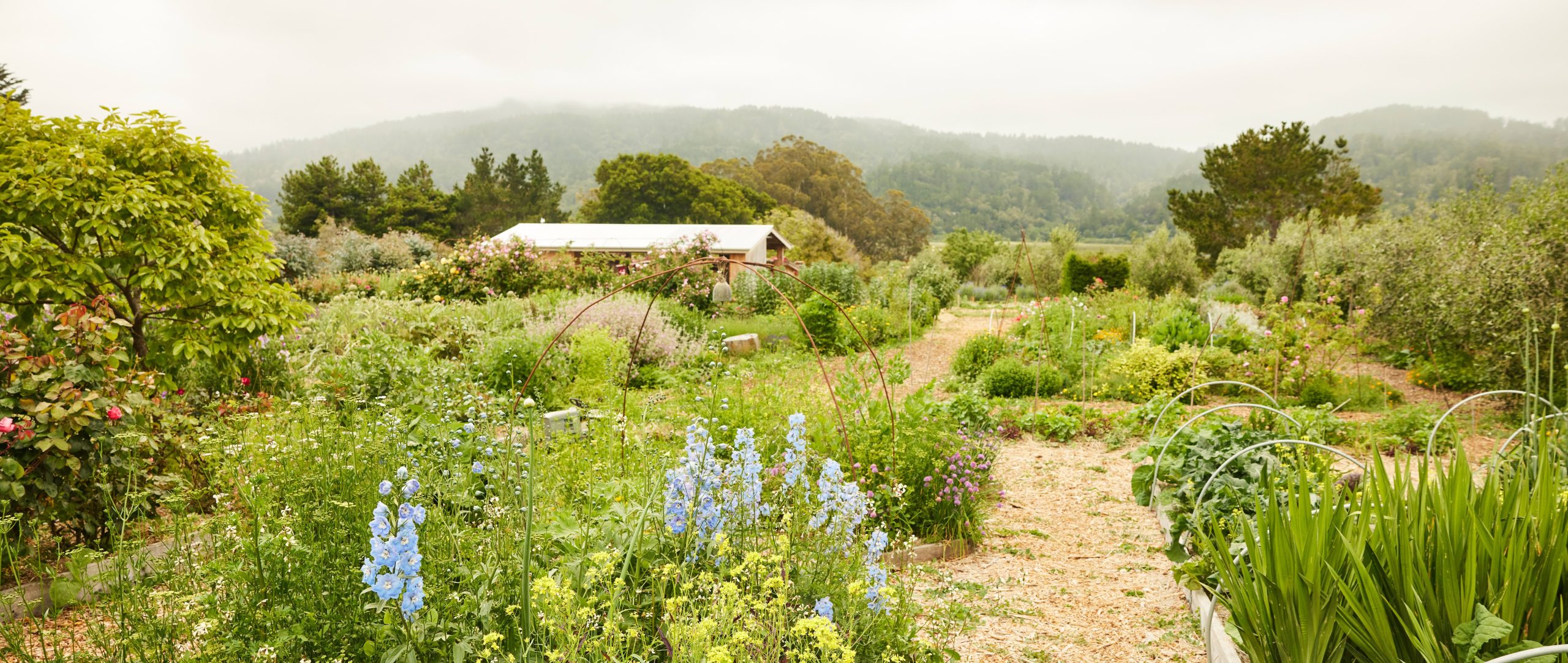 SOURCING: OUR ENVIRONMENTAL IMPACT